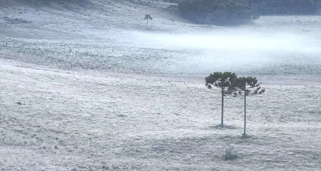 SC amanhece com temperaturas abaixo de -2ºC e geada