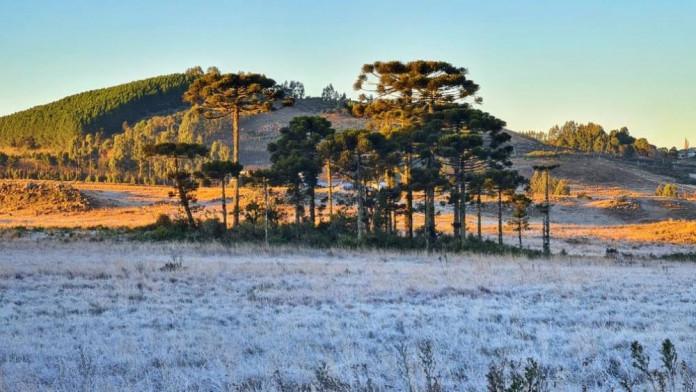 Chuva volta ao Estado e meteorologia não descarta neve na Serra Catarinense