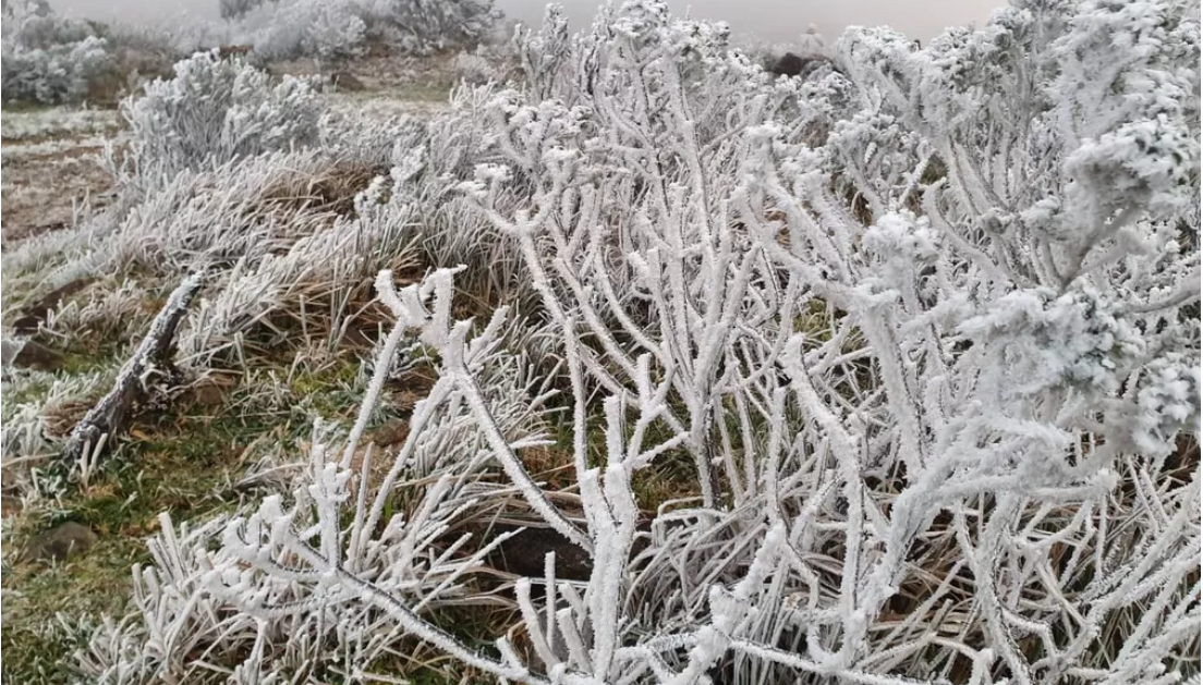 Com -6,4°C, Bom Jardim da Serra tem a menor temperatura de 2022 do sul do país, diz Inmet
