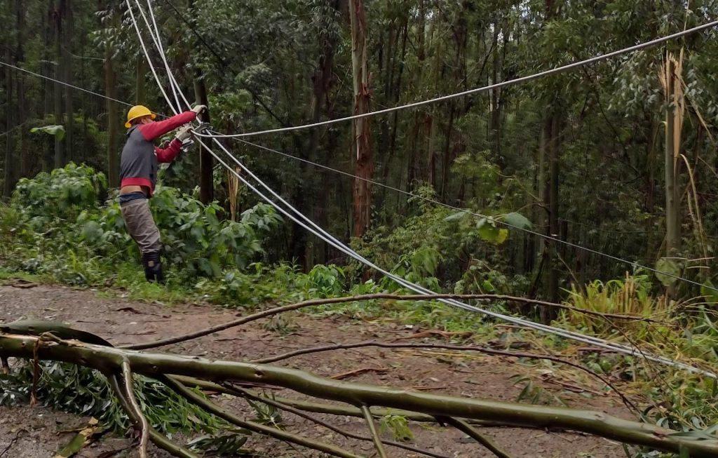 Vento forte e quedas de árvores causam falta de energia em Seara e região