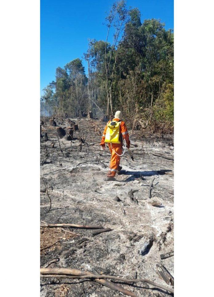 Bombeiros de Concórdia controlam incêndio em mata