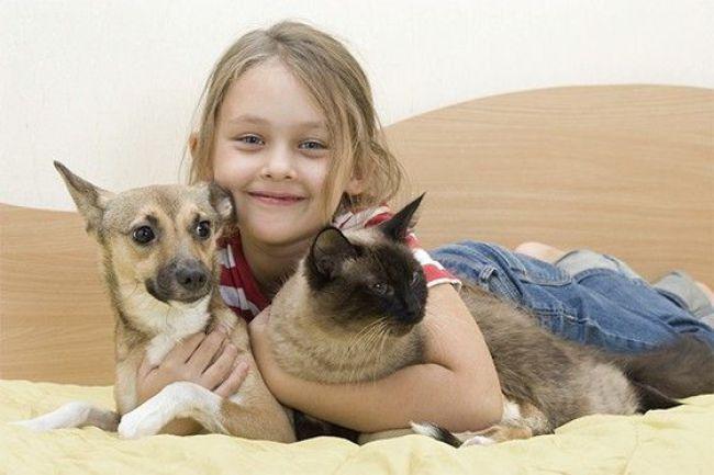 Pesquisa aponta que pets promovem benefícios para a saúde humana