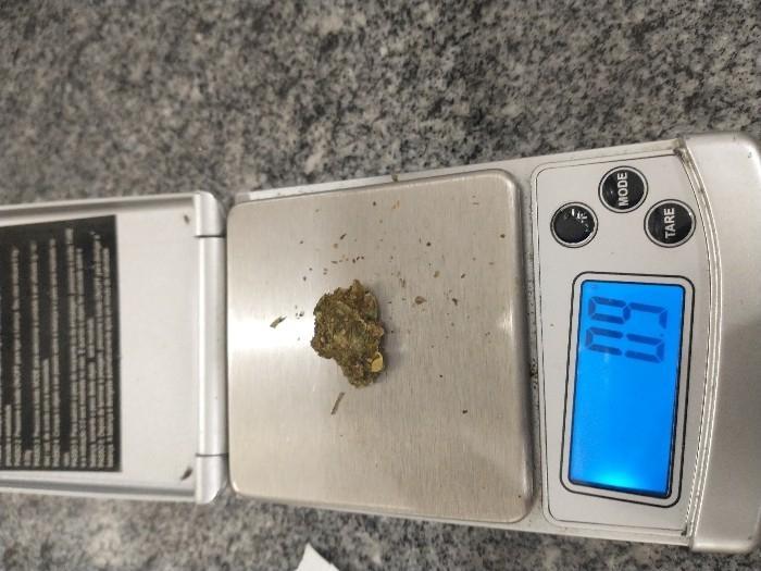 Homem é flagrado pela PM com maconha na área central de Concórdia