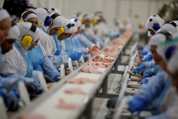 SC bate recorde histórico nas exportações de carnes em 2022