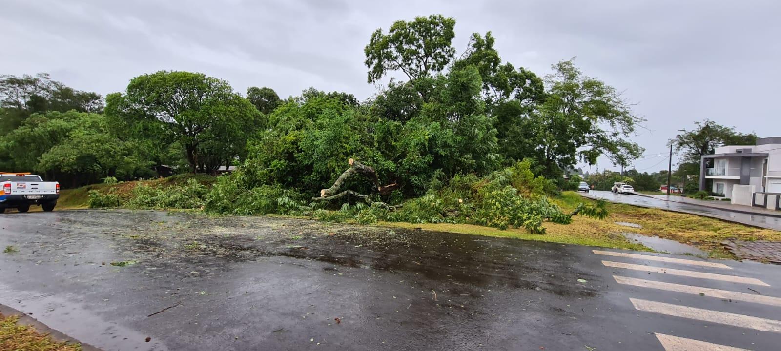 Temporal derruba árvores e deixa casas destelhadas no Oeste