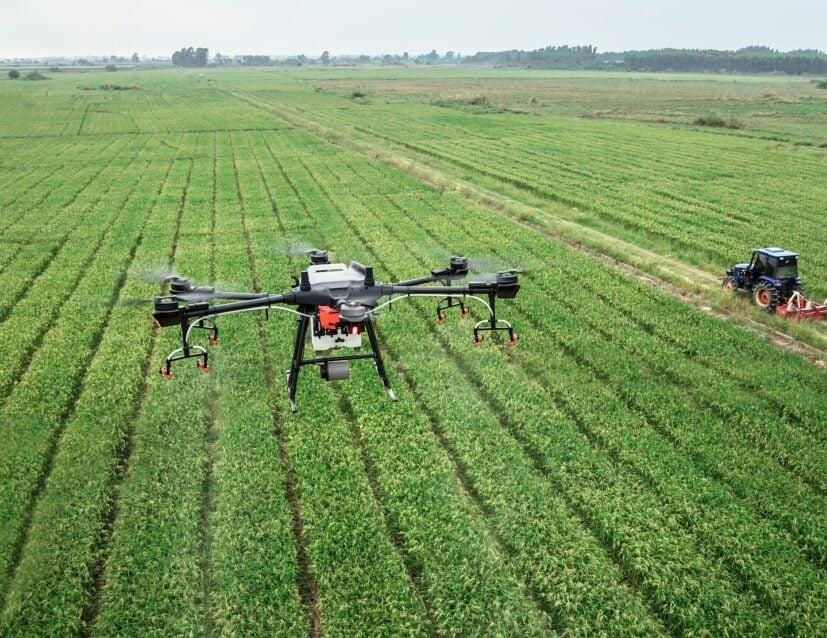 Uso de drones na agricultura facilita mapeamento de áreas e controle de falhas de plantio