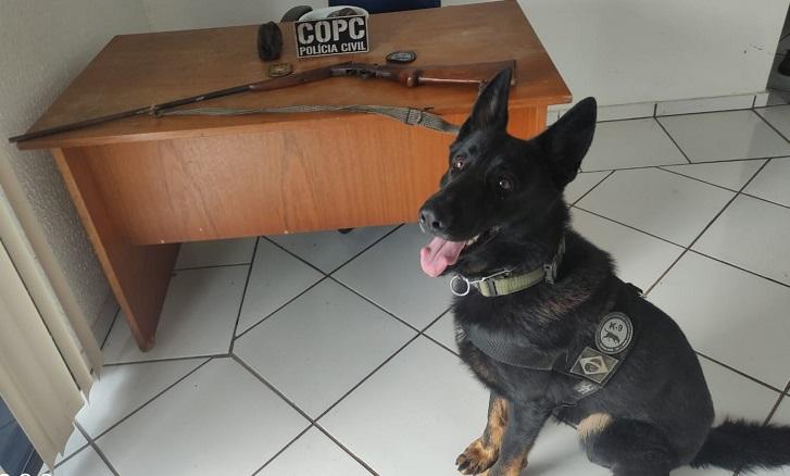 Armas e munições apreendidas em Xavantina e Concórdia