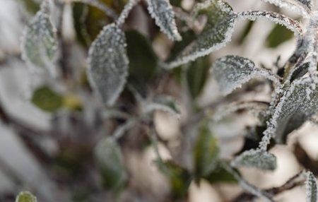 Defesa Civil divulga previsão de clima esperado para os próximos meses em SC