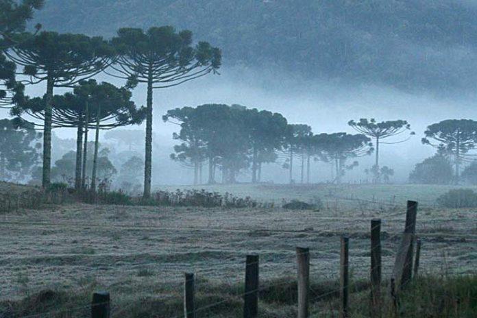 Temperaturas caem bruscamente e mínima é de 3ºC em Santa Catarina