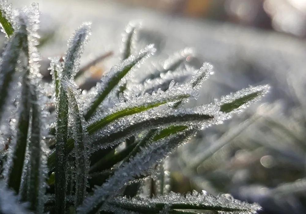 Noites e madrugadas com temperaturas baixas e geada em SC até o final de semana