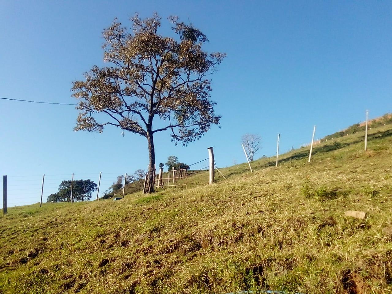 Previsão do tempo para hoje, veranico de maio