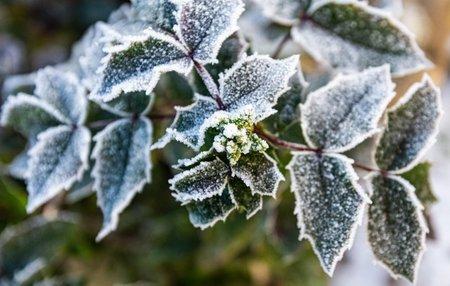 Previsão indica queda nas temperaturas e chance de geada em SC
