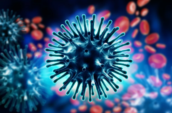 Morte por influenza suína é confirmada no Oeste do Paraná