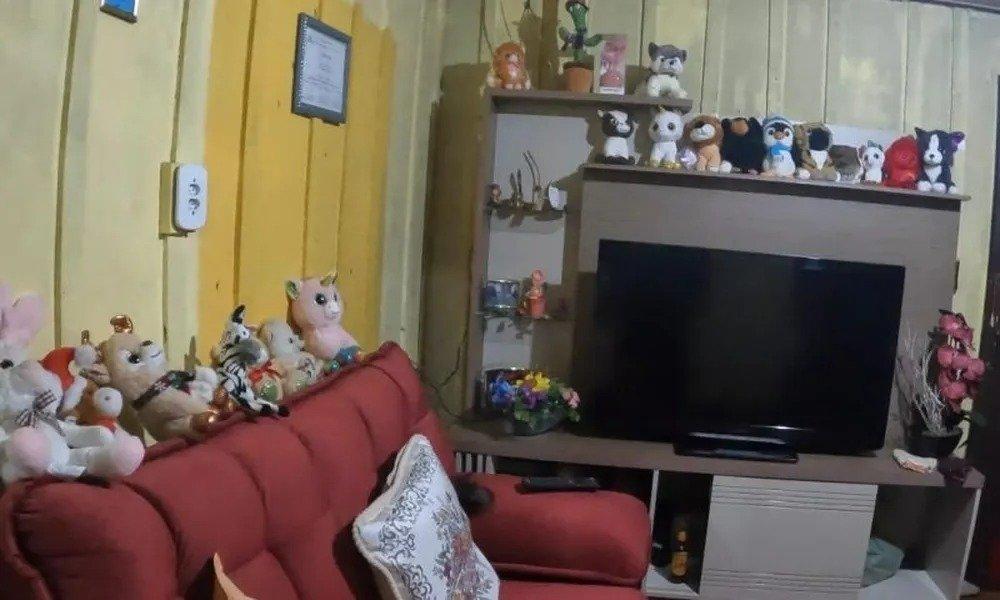 Suspeito de estuprar crianças há 15 anos é preso com coleção de ursinhos de pelúcia em SC