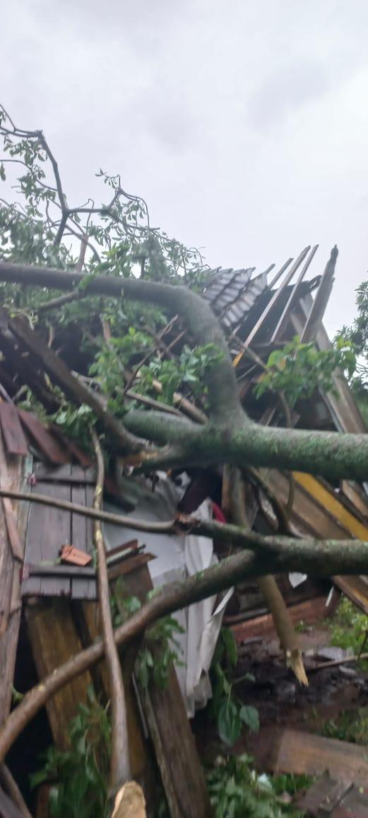 Chapecó decreta situação de emergência por prejuízos causados pela chuva e vendaval