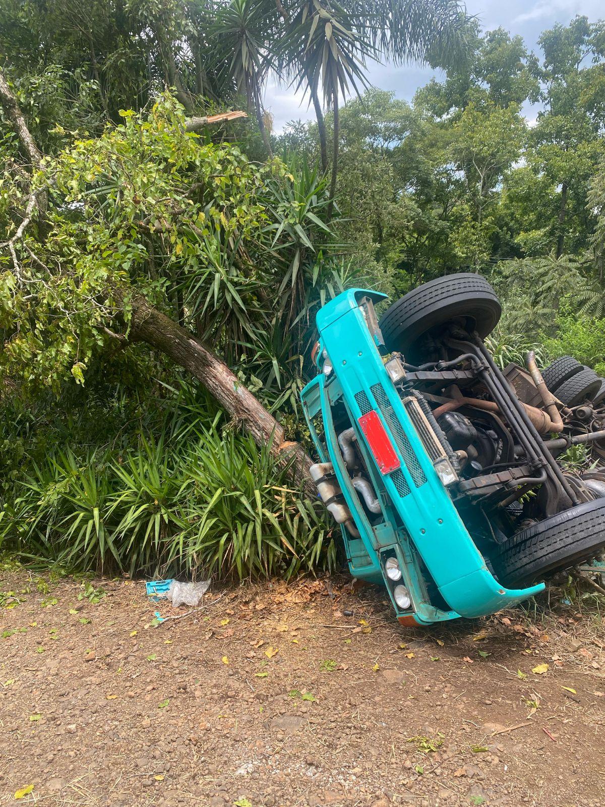 Caminhão carregado com alimentos sai da pista, tomba e colide em árvores na SC-155