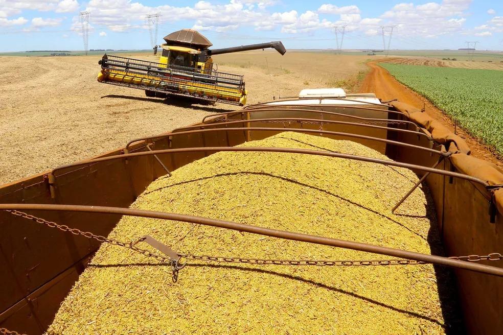 Previsão de recorde na safra de grãos pode ajudar a baixar o preço dos alimentos?