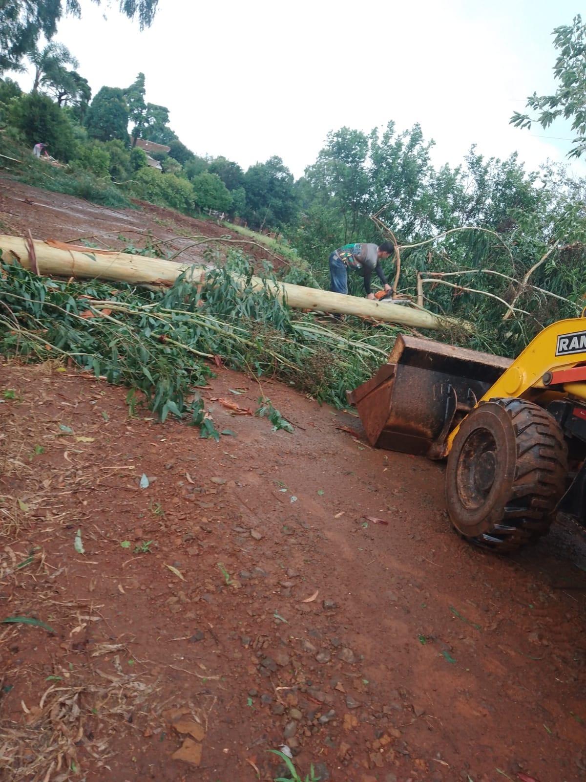 Vendaval causa danos em município do Oeste de Santa Catarina