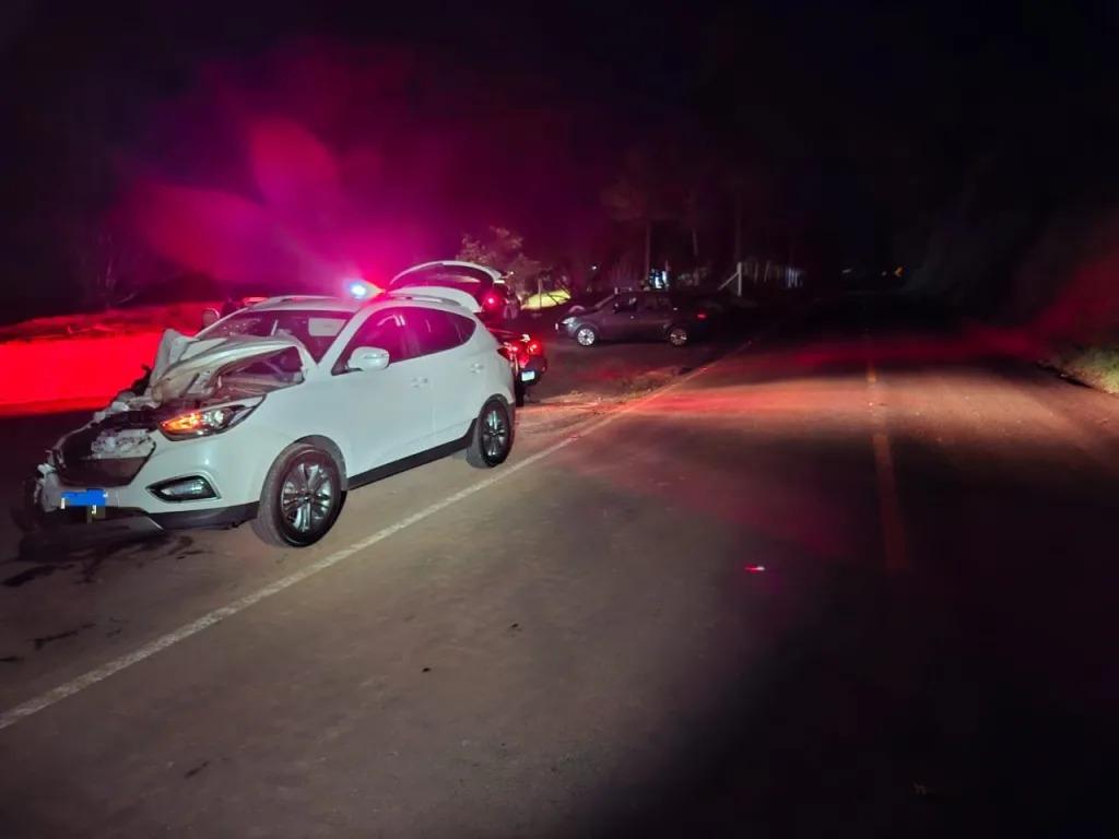 Atropelamento de bovino envolve dois veículos em Xavantina