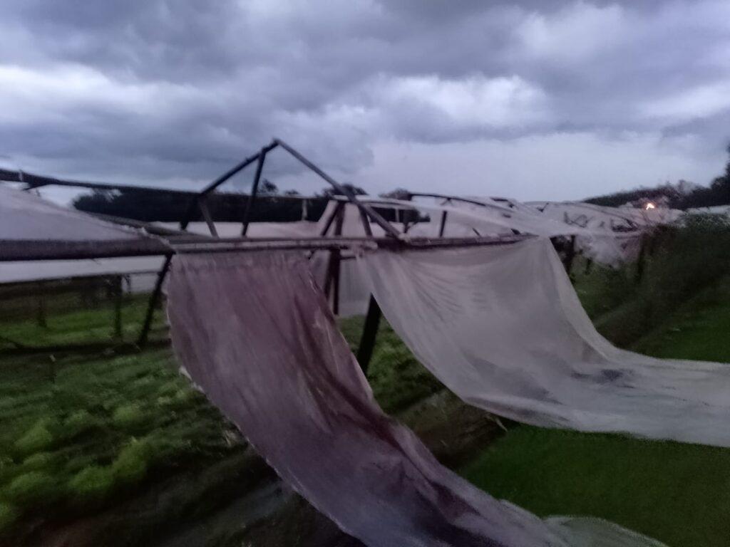 Forte temporal atinge Chapecó e deixa estragos
