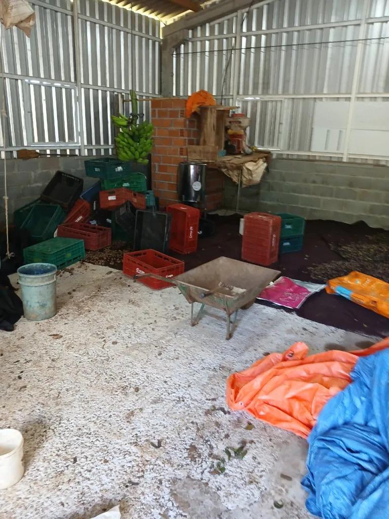 Ladrões invadem propriedade e furtam nozes no interior de Seara