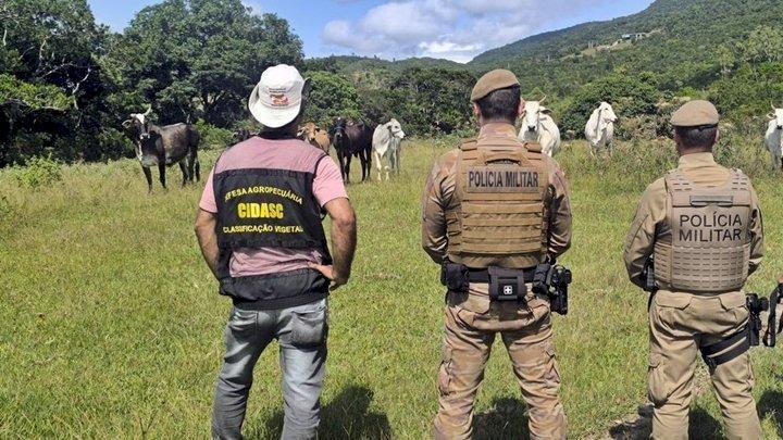 Polícia Militar intensifica o combate à Farra do Boi na Operação Quaresma