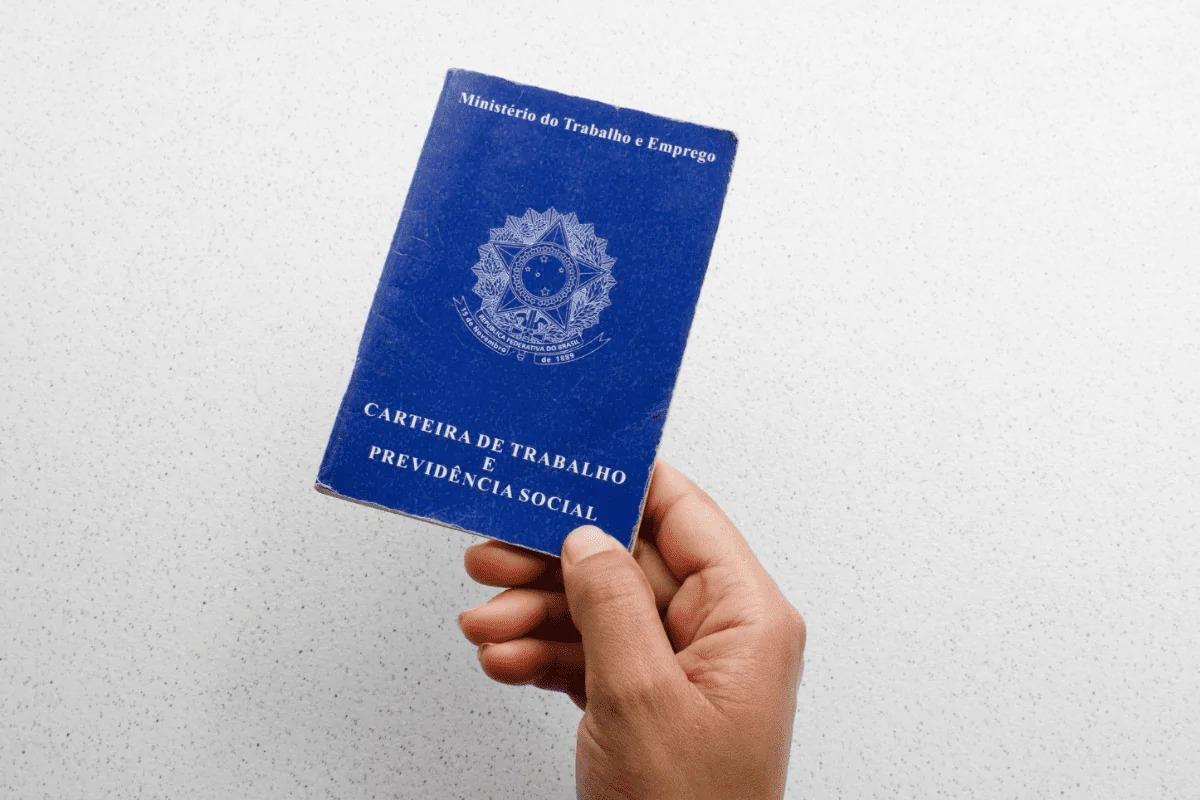 Santa Catarina tem 9.838 vagas de emprego abertas no Sine; Em Seara são 190