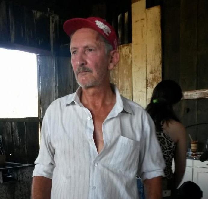 Idoso morre ao sofrer queda de araucária enquanto colhia pinhão