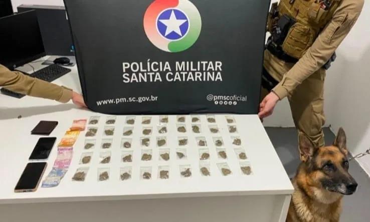 PM faz grande apreensão de maconha em Chapecó