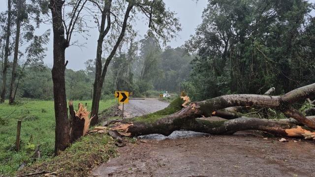 REGIÃOREGIÃO OESTE Temporal causa estragos em cidades do Oeste