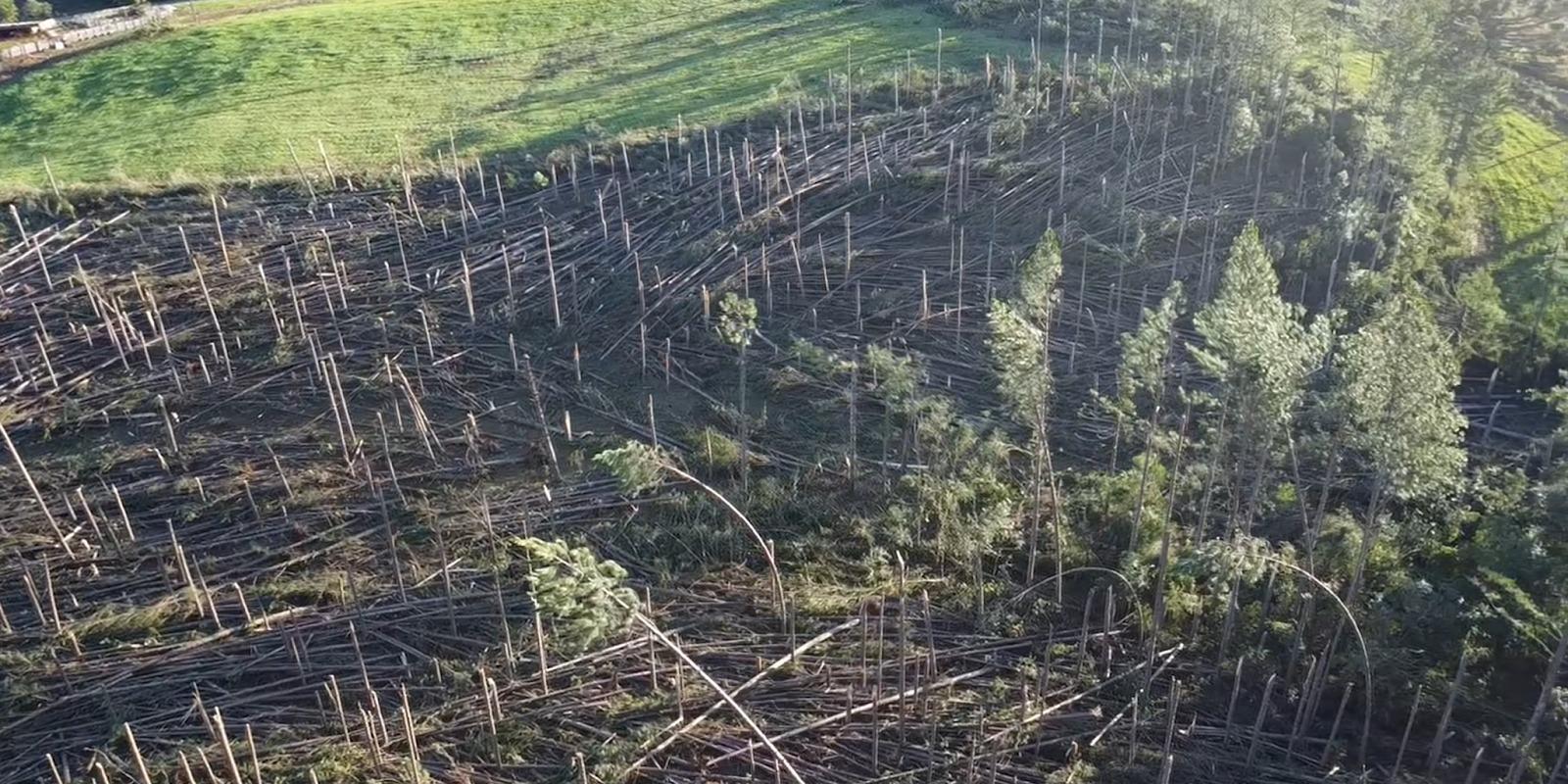 Defesa Civil confirma passagem de tornado no interior de Passos Maia