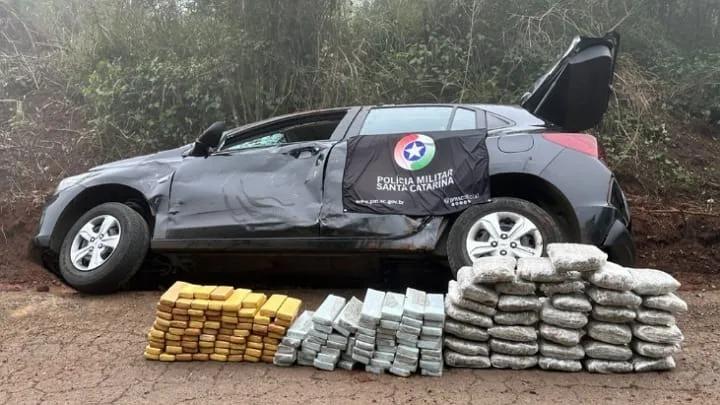 Polícia Militar registra recorde de apreensões de drogas nas rodovias estaduais no semestre