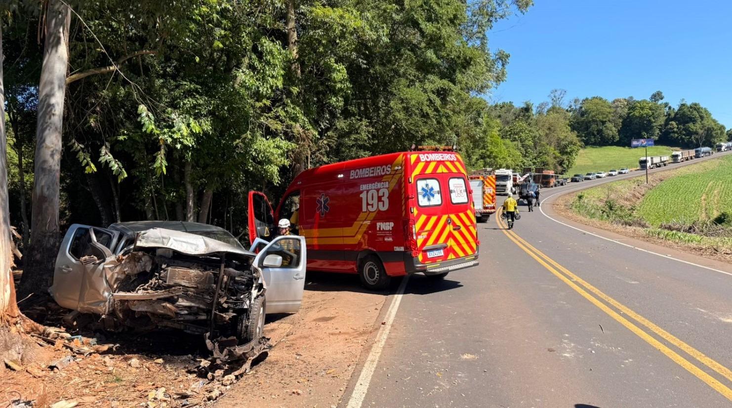 Motorista fica gravemente ferido após bater carro contra árvore na SC-157
