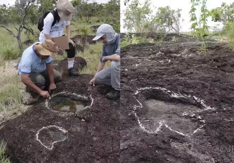 Pesquisadores descobrem pegadas de dinossauro na Amazônia; 110 milhões de anos