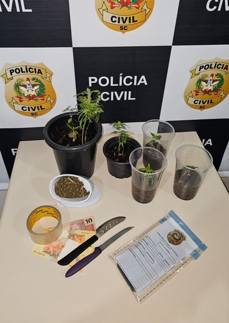 Polícia apreende vasos com cultivo de maconha em Xanxerê
