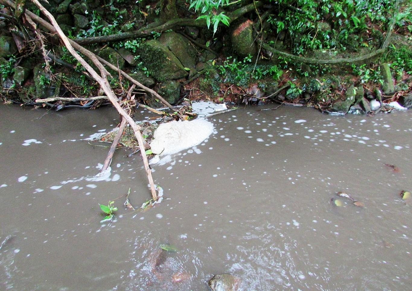 Morador denuncia mais um caso de despejo de dejetos no rio Caçador em Seara