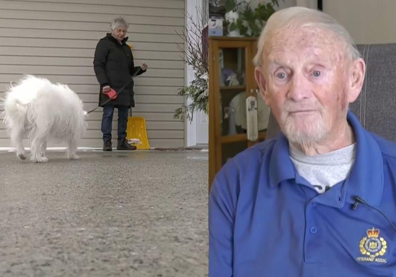 Cachorra ouve gritos de socorro e salva vizinho idoso: ele caiu em casa e não conseguia se levantar