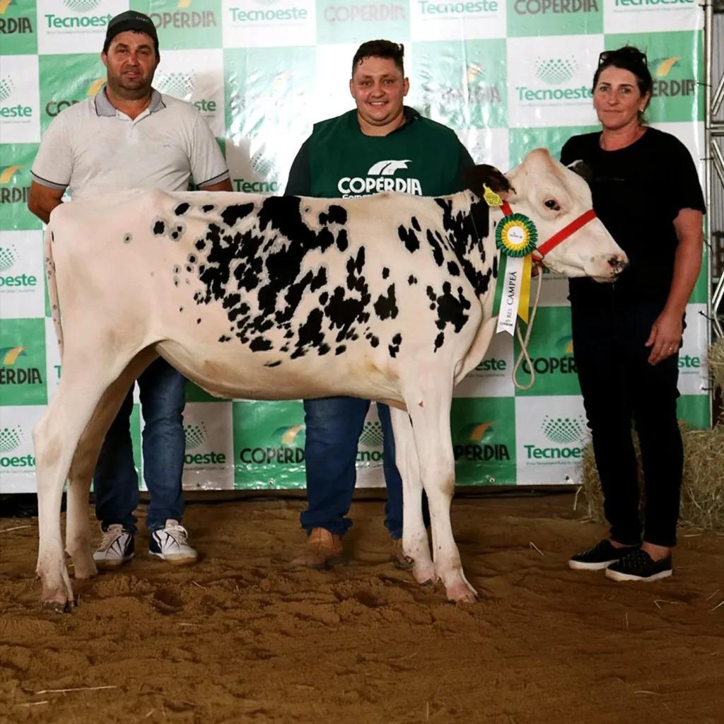 Novilha searaense fatura premiação no Tecnoeste 2026
