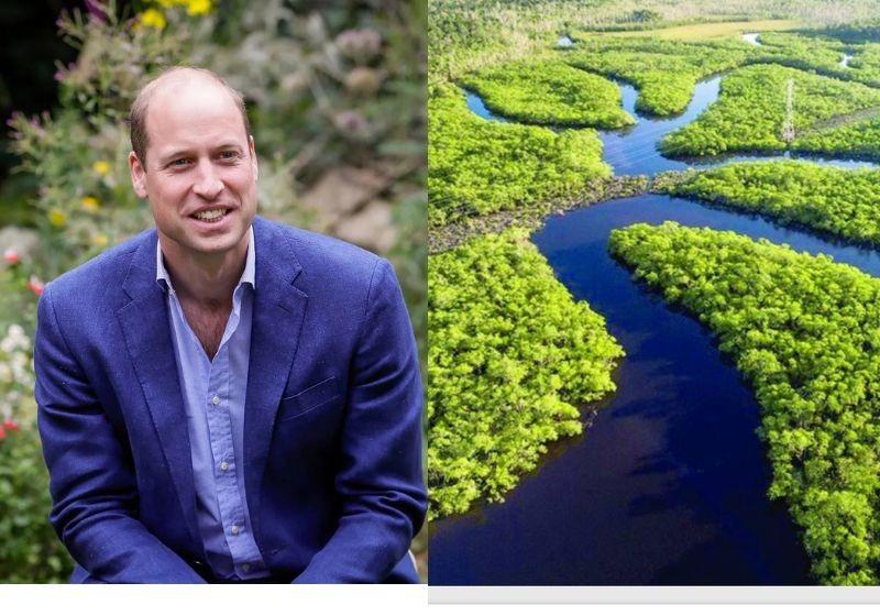 Príncipe William mandou R$ 7 milhões para reflorestar a floresta Amazônica