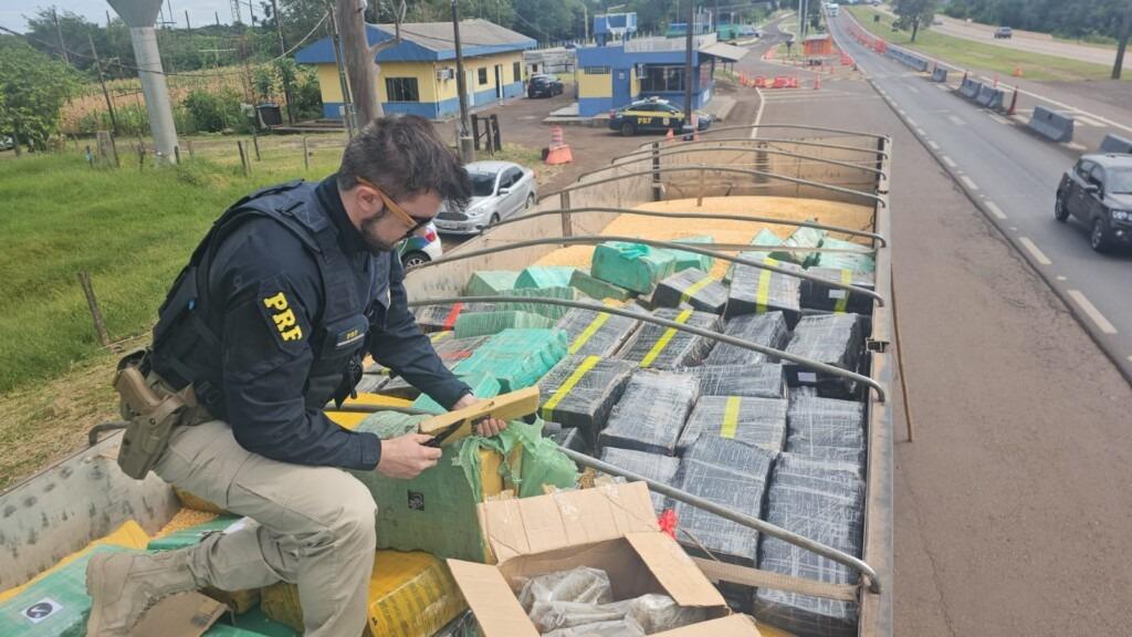 PRF apreende mais de cinco toneladas de maconha em caminhão que seguia para Videira