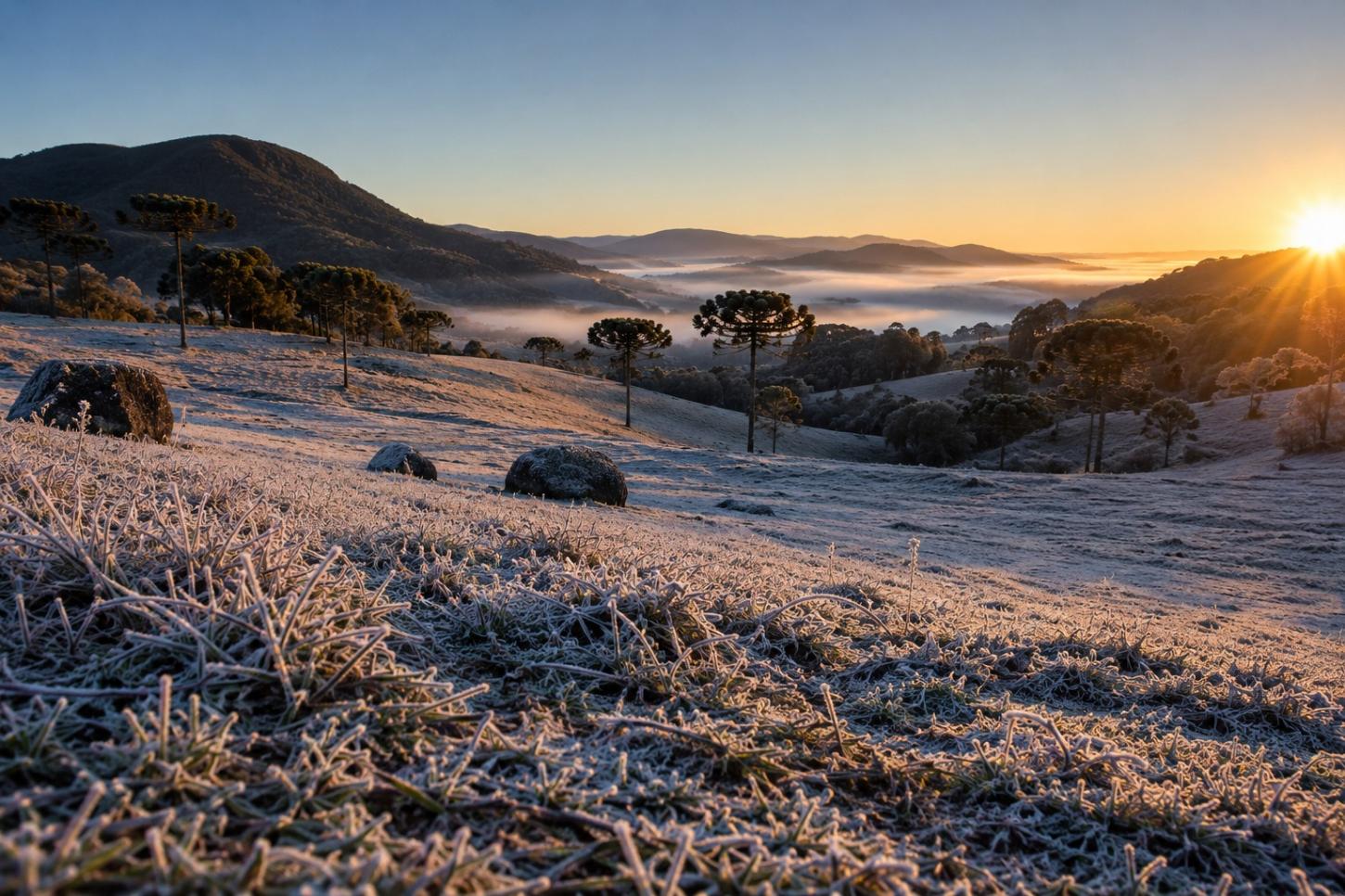 Frio intenso e geada marcam o fim de semana do Dia das Mães em Santa Catarina