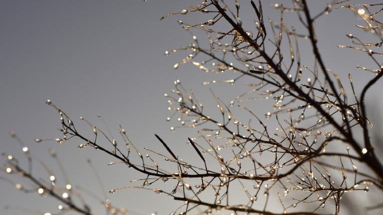 Massa de ar frio derruba temperaturas em SC a partir desta segunda-feira