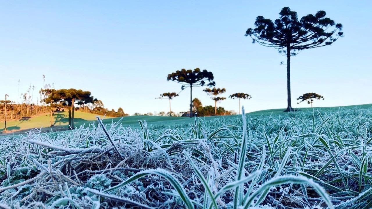 Quinta-feira será de frio intenso e temperaturas negativas em Santa Catarina