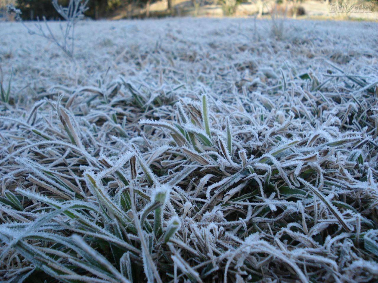 Temperatura chega a -5,6°C e SC registra novo recorde de frio do ano; veja as mínimas