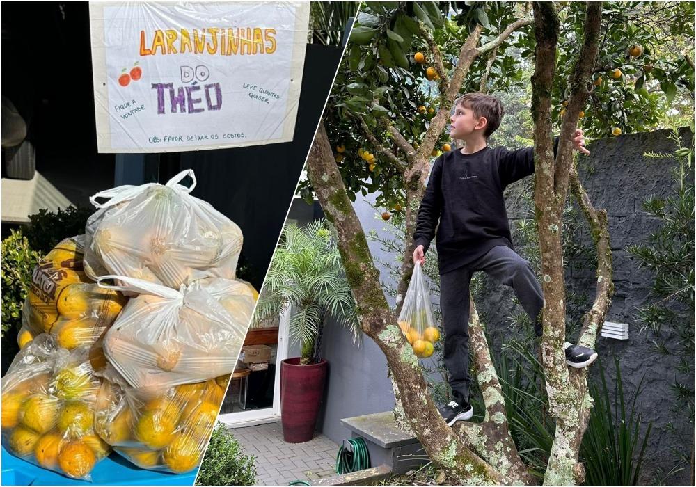 Criança distribui laranjas a vizinhos e transforma gesto simples em lição de gentileza em Ponte Serrada
